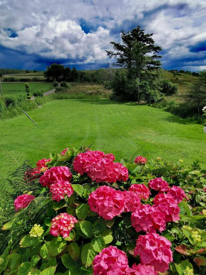 New Listing - Ladybird Cottage - Donegal - Wild Atlantic Way Donegal Town ภายนอก รูปภาพ