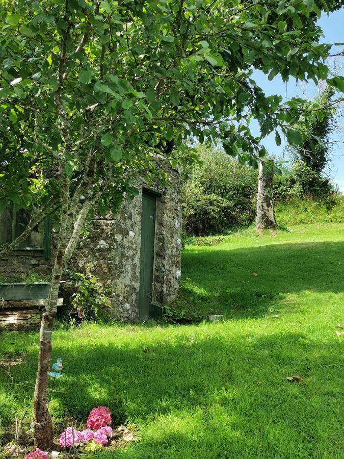 New Listing - Ladybird Cottage - Donegal - Wild Atlantic Way Donegal Town ภายนอก รูปภาพ