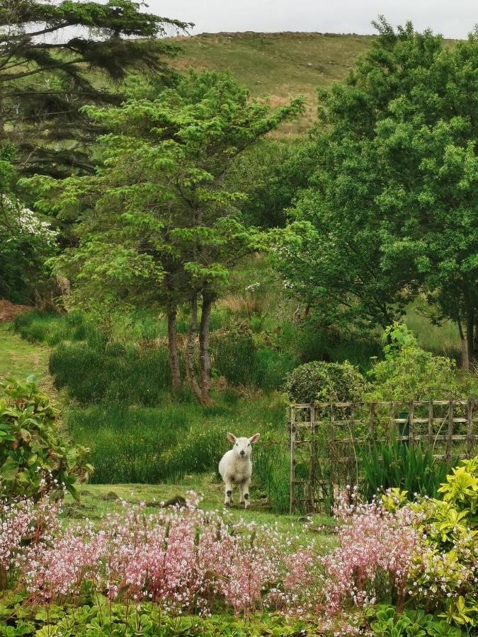 New Listing - Ladybird Cottage - Donegal - Wild Atlantic Way Donegal Town ภายนอก รูปภาพ